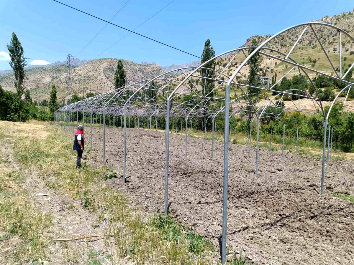 Şırnak\'ta Sera Projeleri Denetlendi