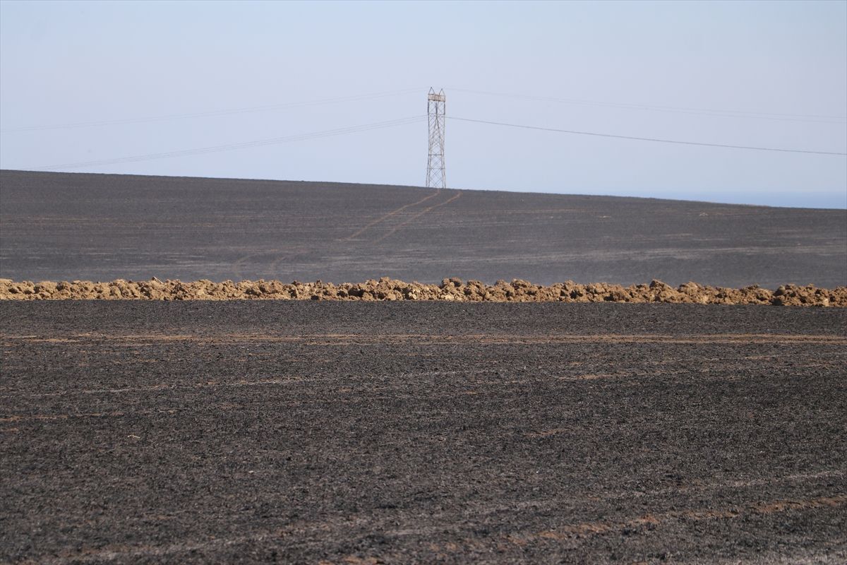 Tekirdağ\'da Anız Yangını Kontrol Altına Alındı