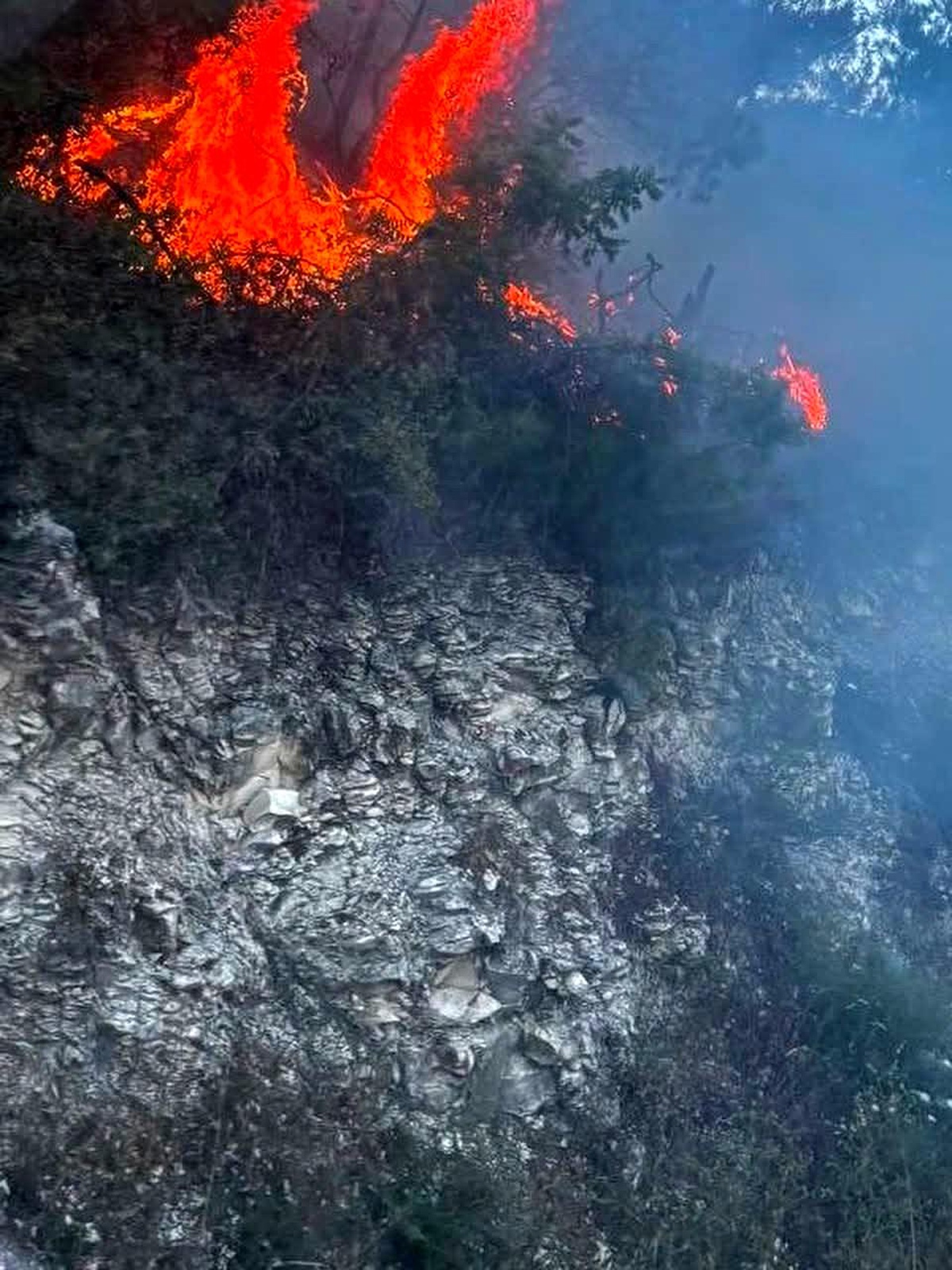Yayladağı\'nda ormanlık alanda çıkan yangın kontrol altına alındı