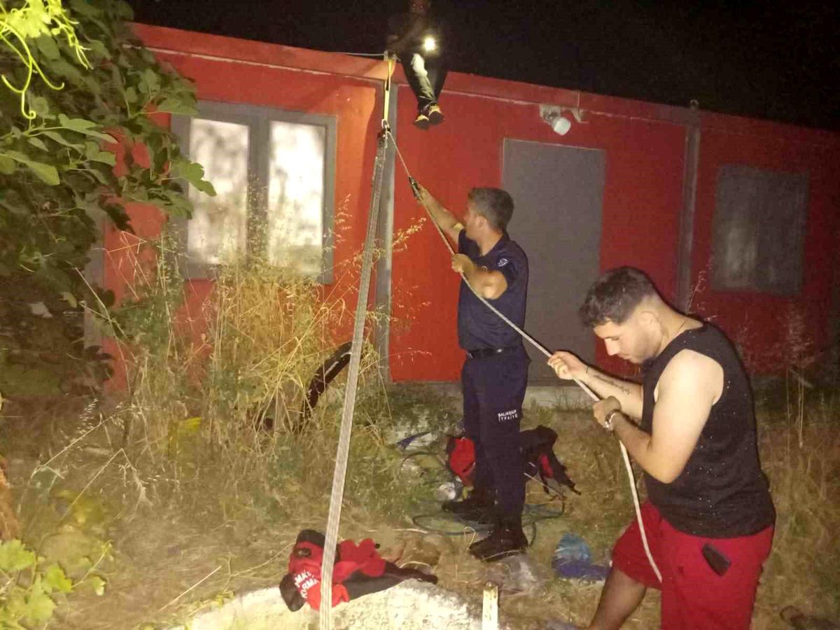 Balıkesir\'de Yavru Kedi Kurtarıldı