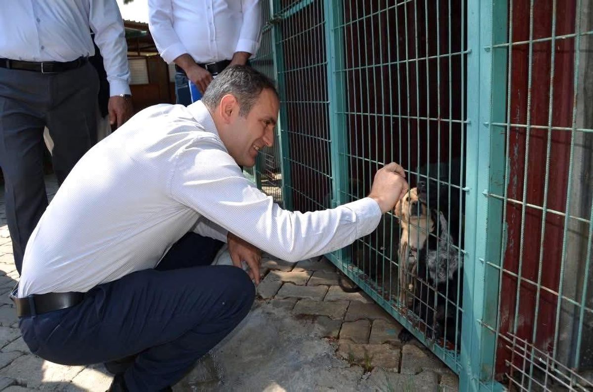 Bayındır\'da hayvan bakım evi ve doğal yaşam alanında inceleme