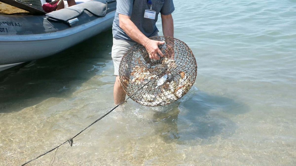 Bodrum\'da Deniz Dibi Temizliği Yapıldı