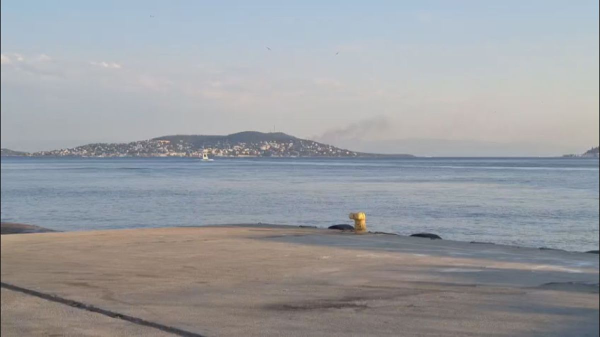 Büyükada\'da Plajda Yangın Çıktı