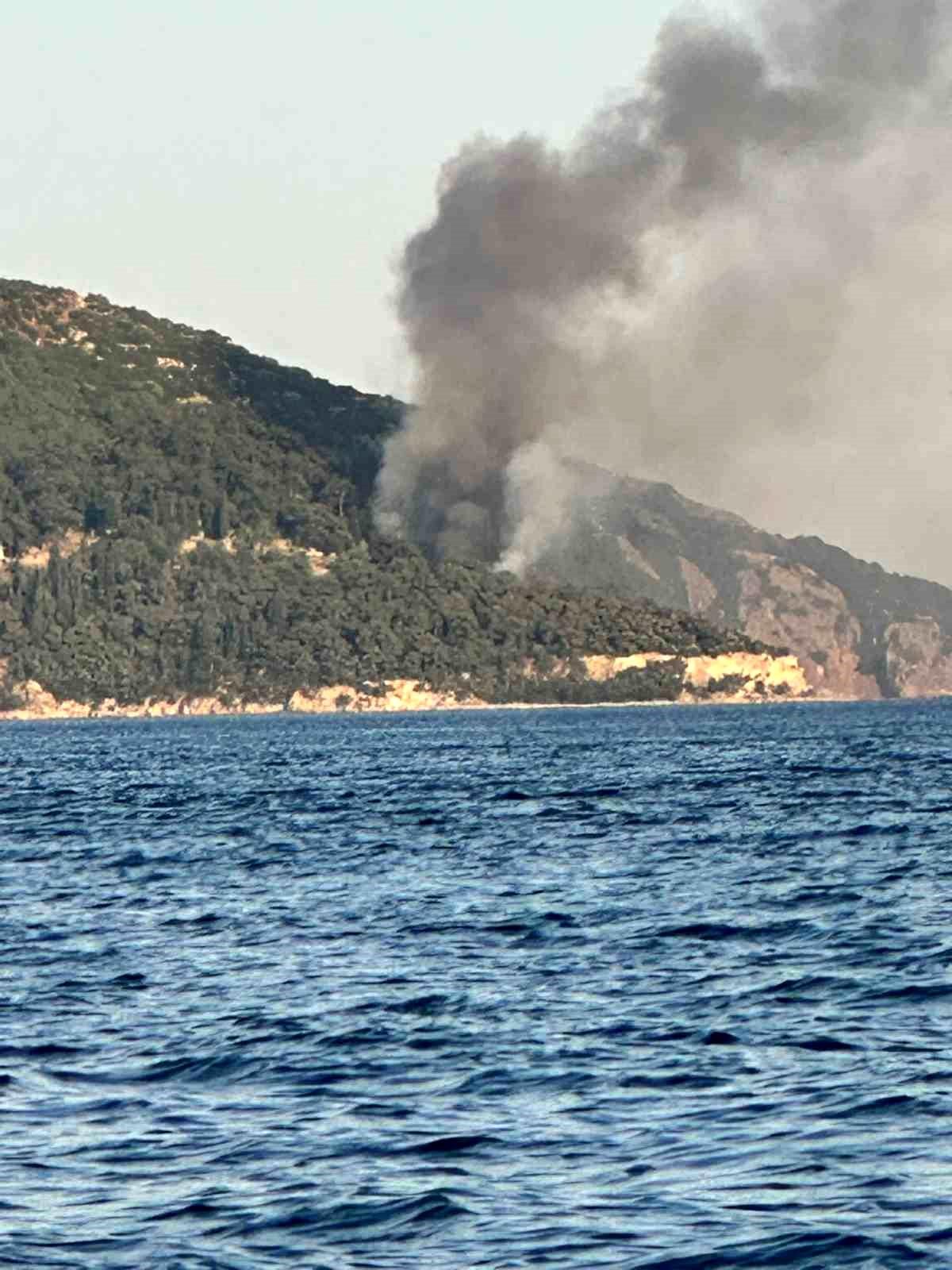 Büyükada'da Yangın Paniği - Son Dakika