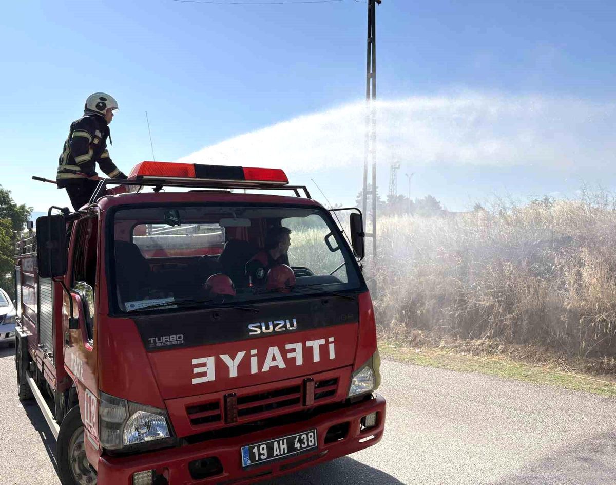 Çorum\'da otluk alanda çıkan yangın söndürüldü