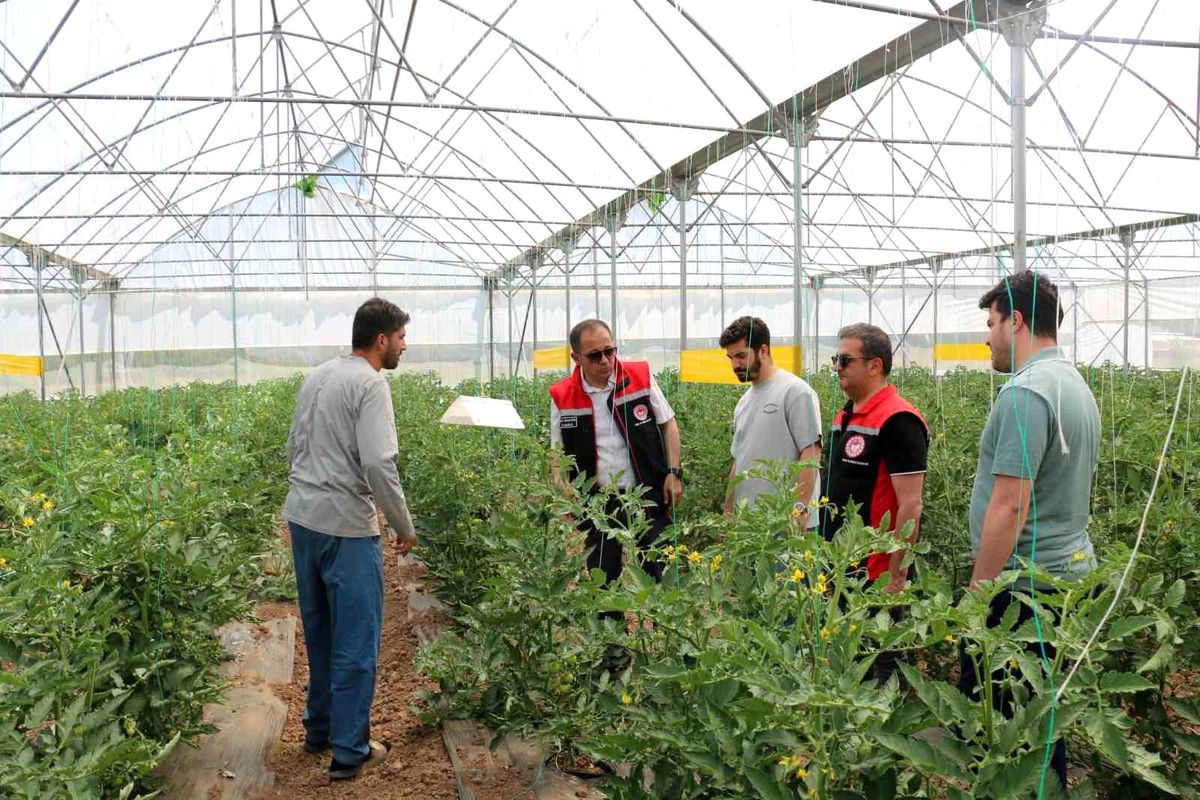 Tarım Müdürü Seracılık İşletmelerini Ziyaret Etti