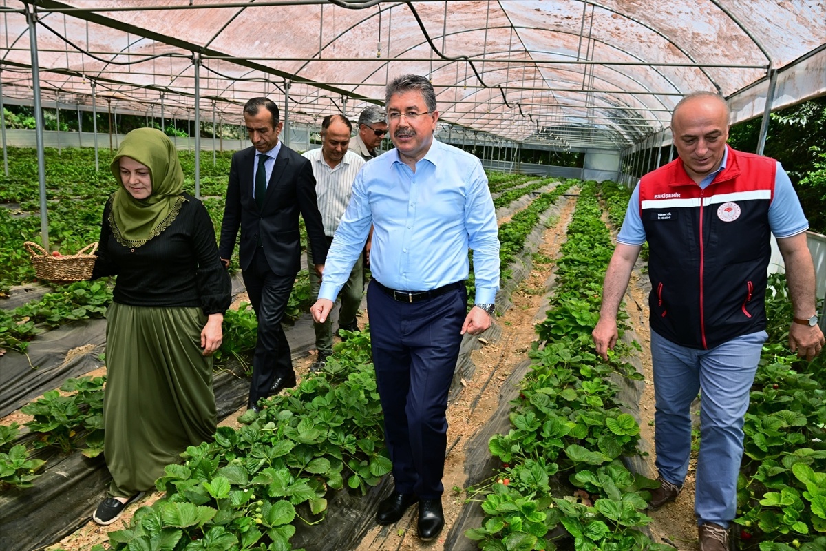 Vali Yılmaz, Sarıcakaya\'da Seraları Ziyaret Etti