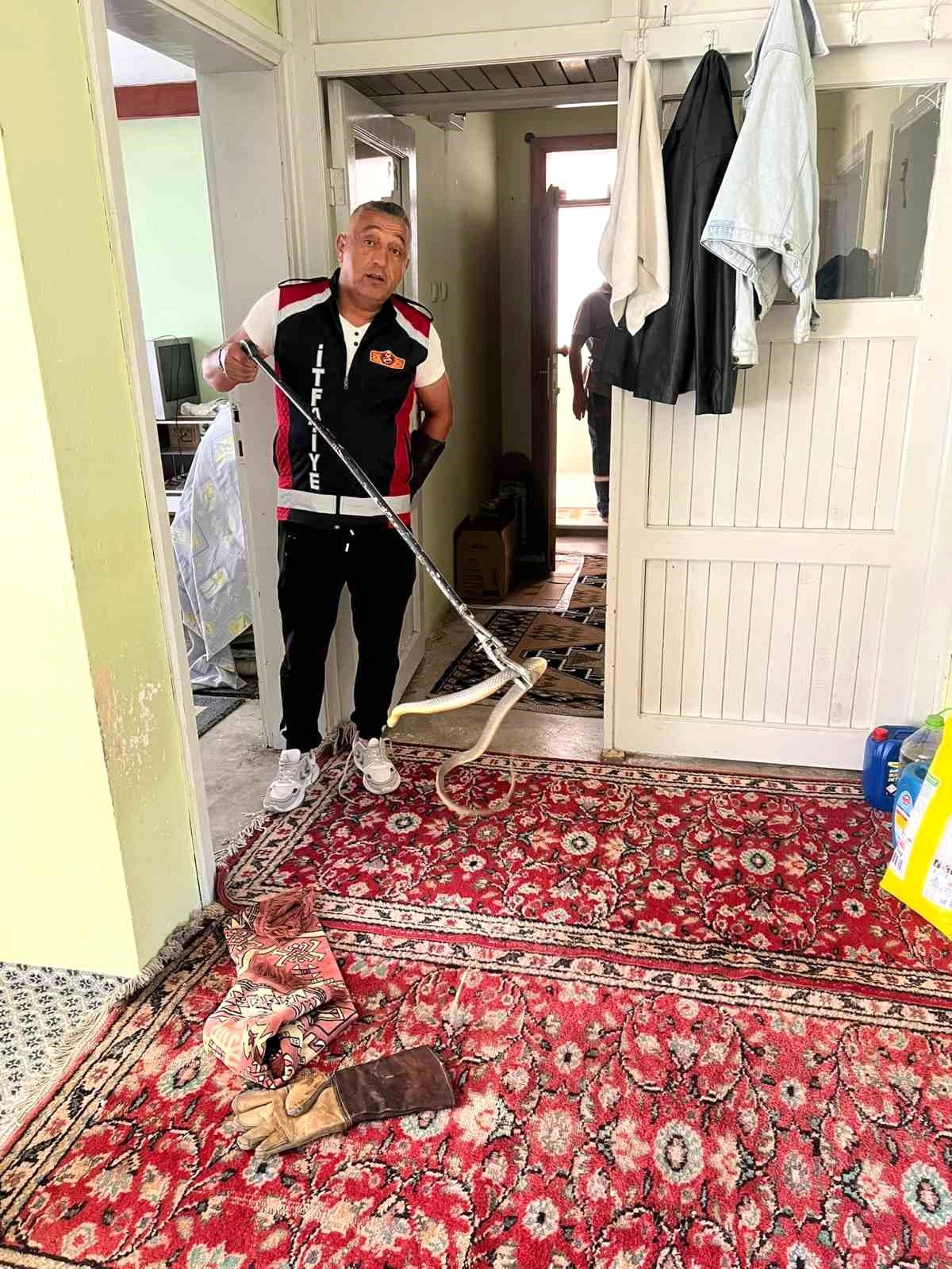 Bartın\'da Yılan Operasyonu