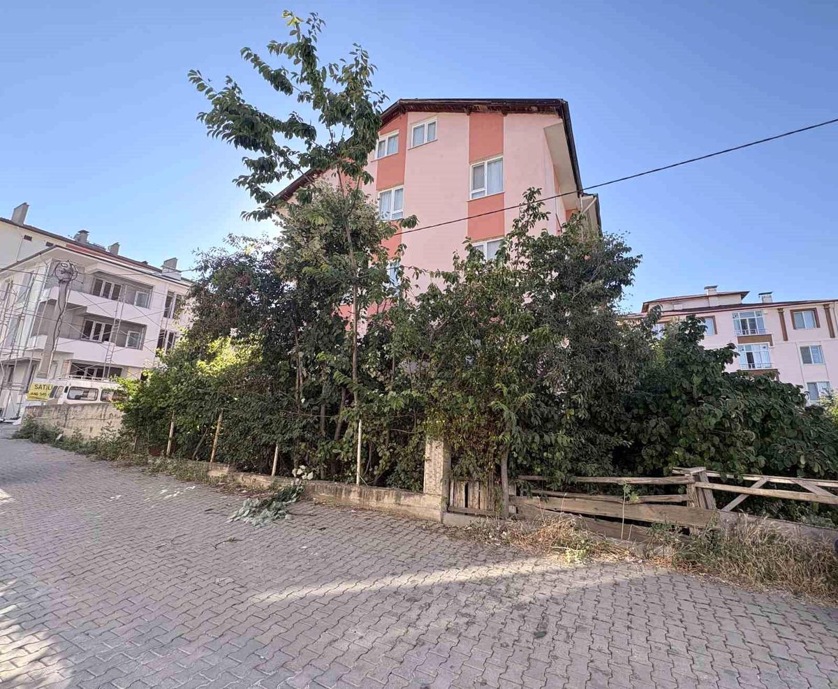 Ihlamur Toplarken Düştü: Emekli Öğretmen Yaralandı