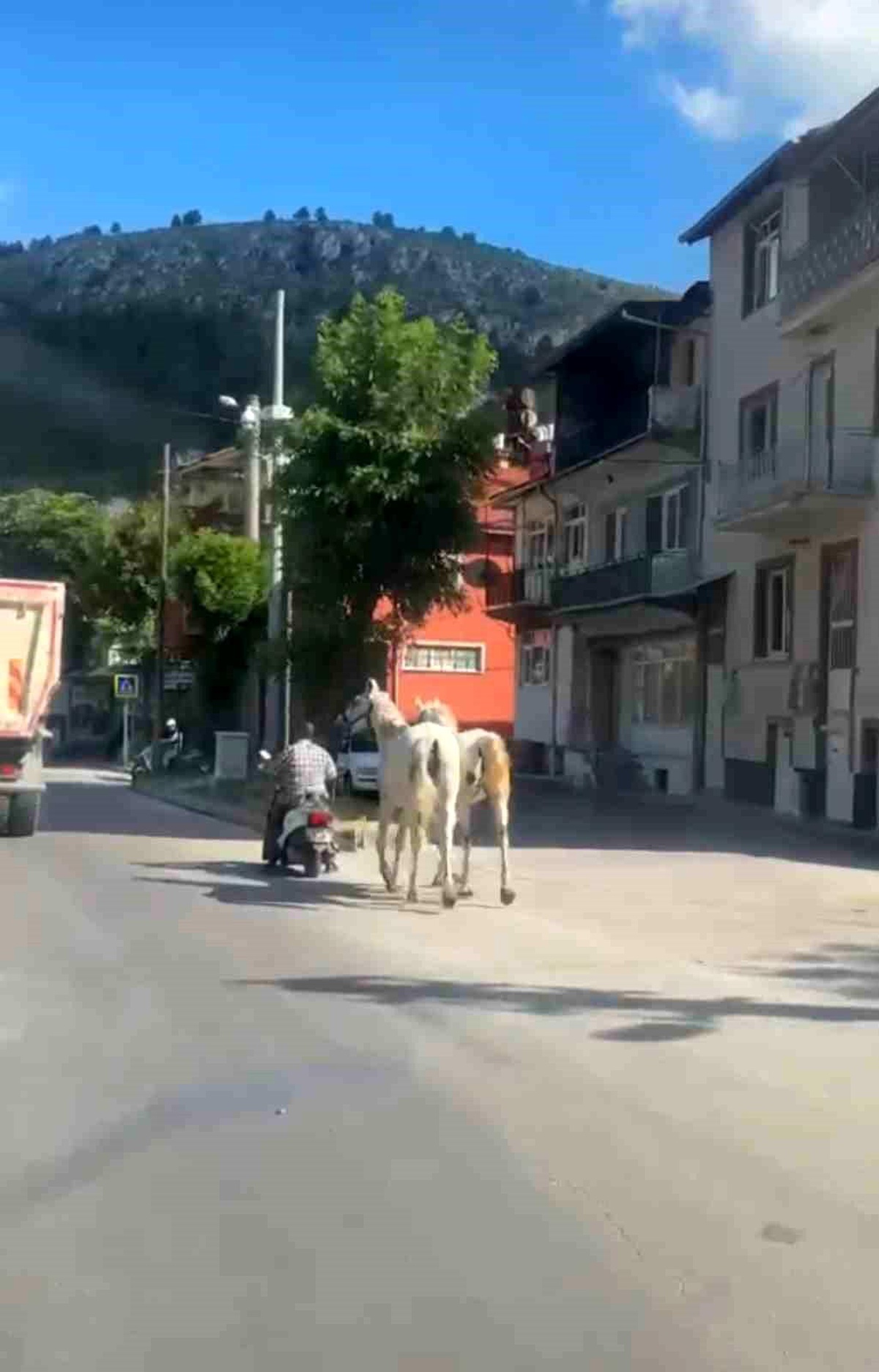 Kütahya\'da Atlarla Motosiklet Yolu Kesti