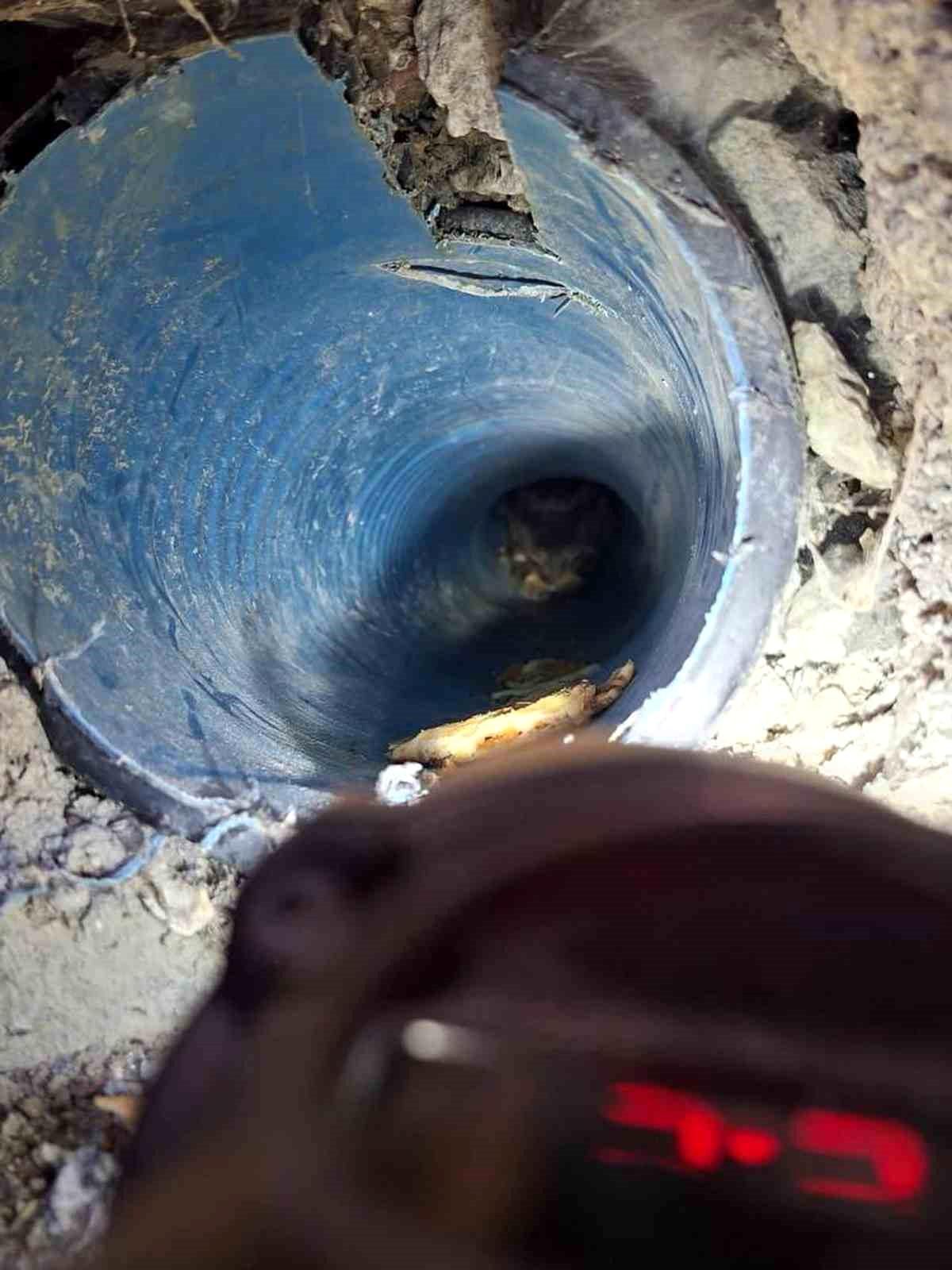 Hatay\'da Kuya Düşen Köpek Kurtarıldı