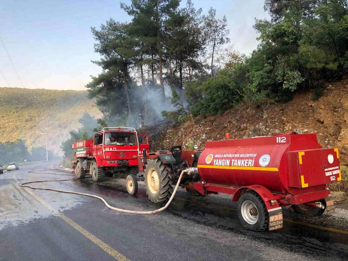 Menteşe\'de orman yangını büyümeden söndürüldü