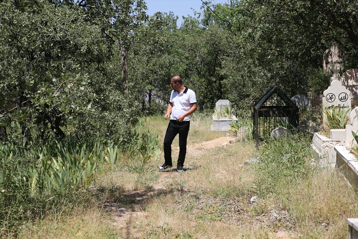 Siirt Adaçayı Çiçeklendi