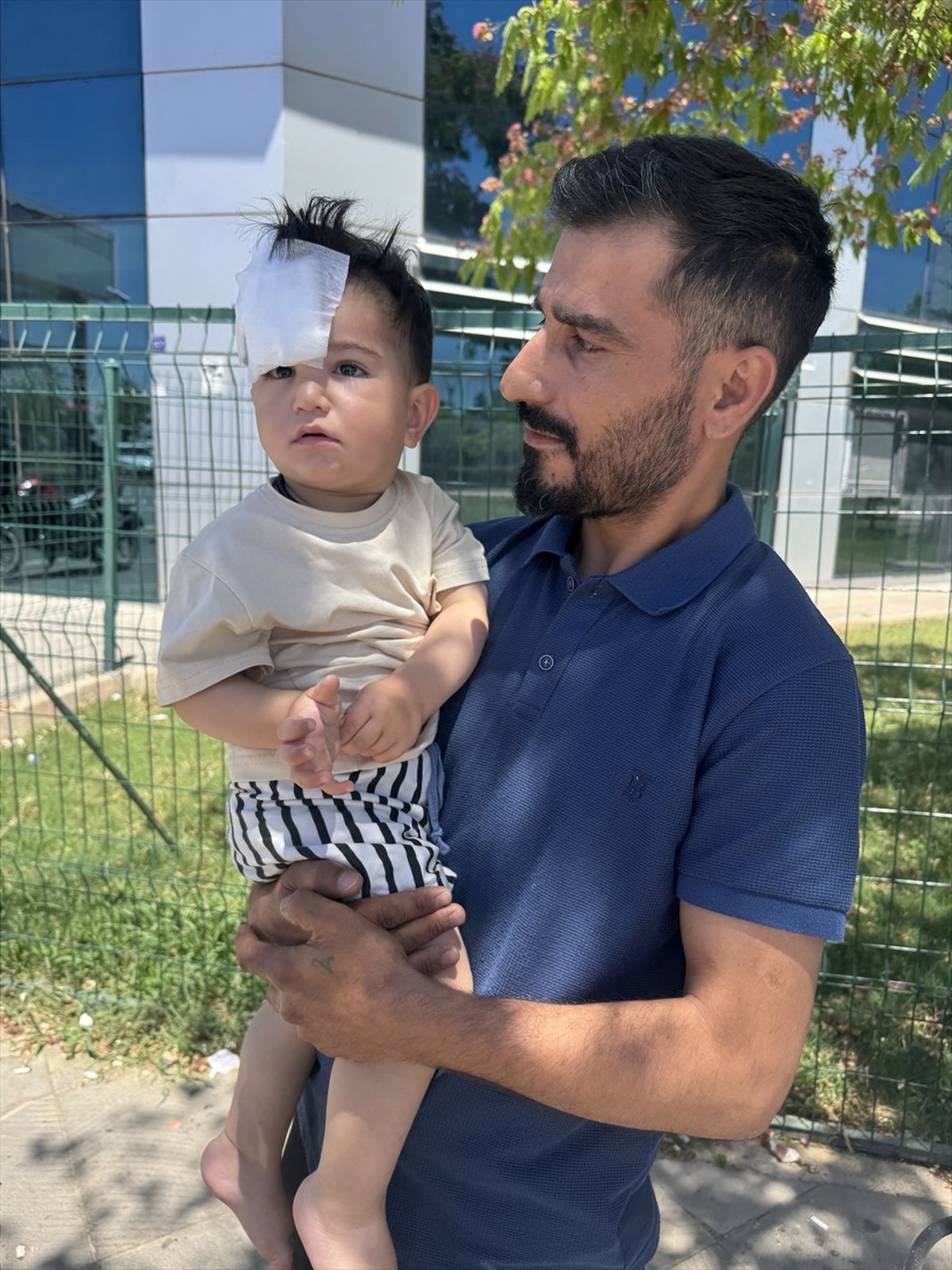 Halfeti\'de Köpek Saldırısı: 1,5 Yaşında Çocuk Yaralandı