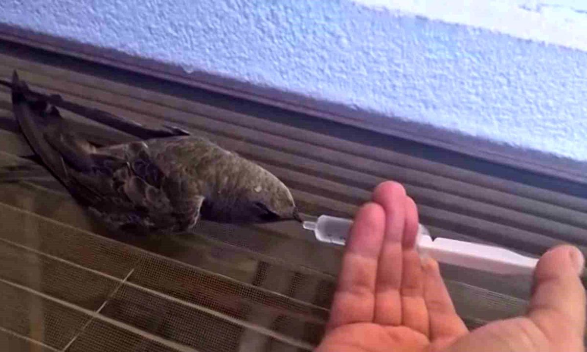 Elazığ\'da Duyarlı Vatandaşın Eşsiz Yardımı