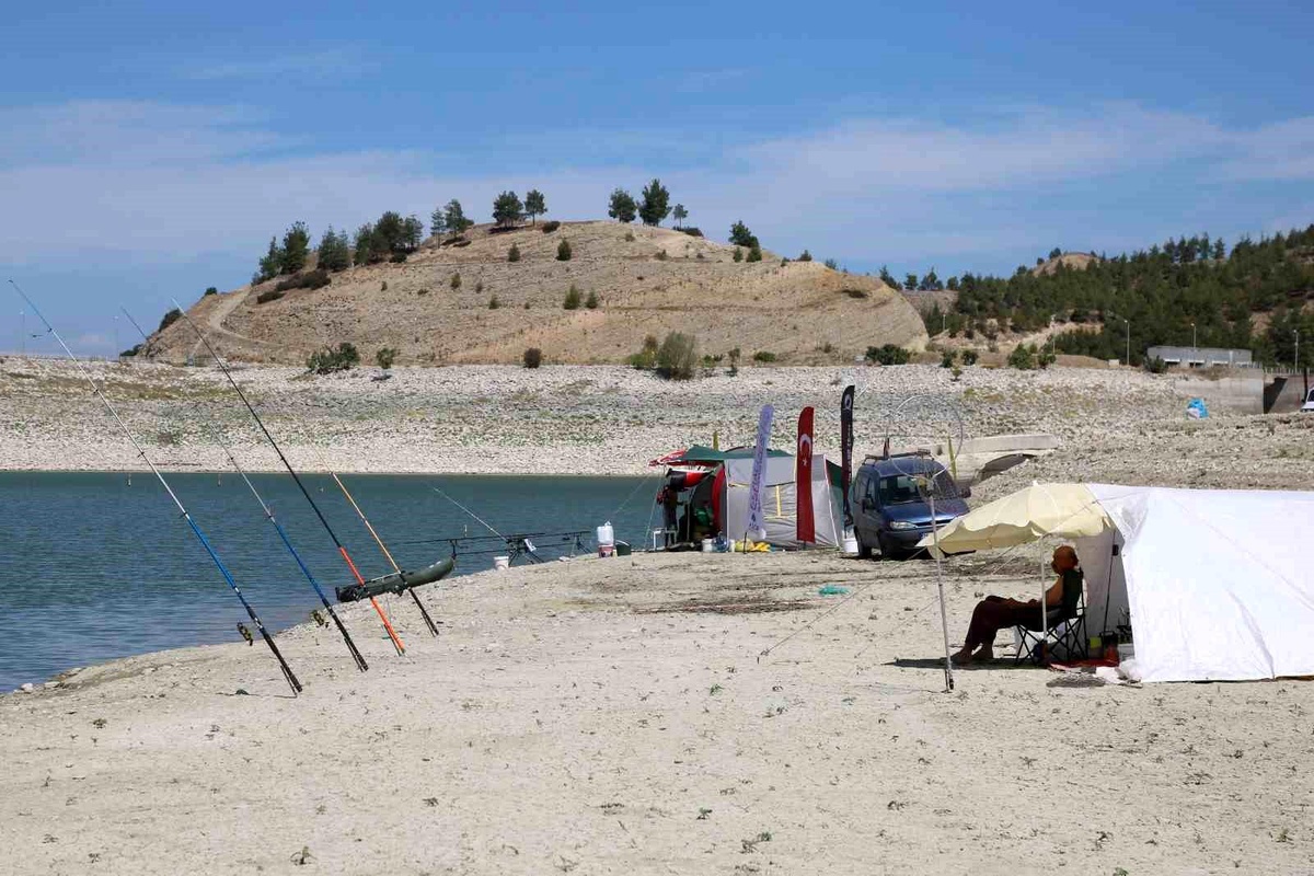 DENOLDER Carp Cup Başlıyor