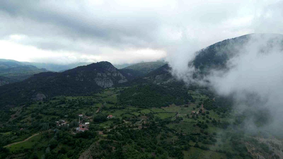 Amasya\'da Ormanlık Alanlara Giriş Yasaklandı
