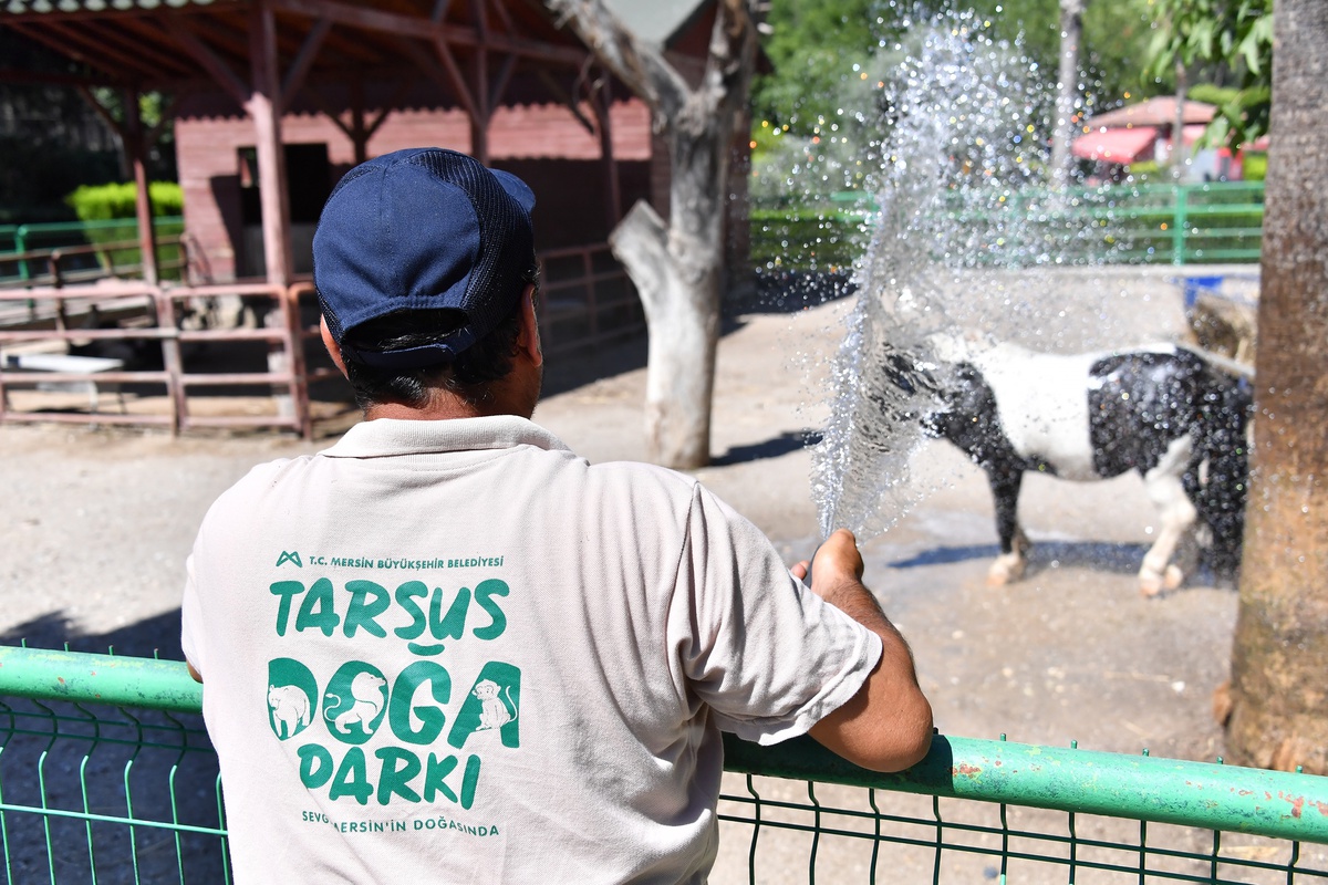 Tarsus Doğa Parkı\'nda Hayvanlara Serinletme Önlemleri