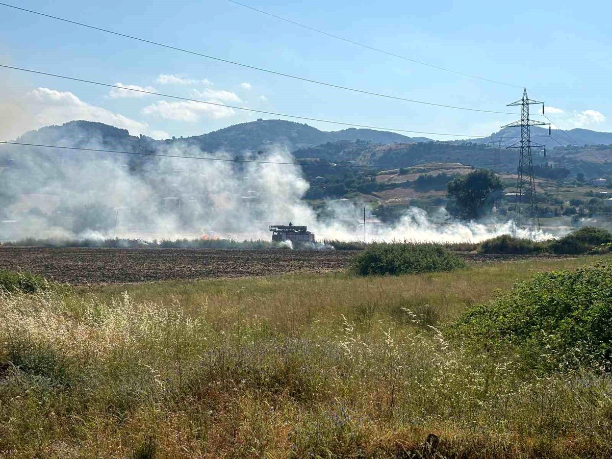 Samsun\'da samanlık alanda çıkan yangın söndürüldü