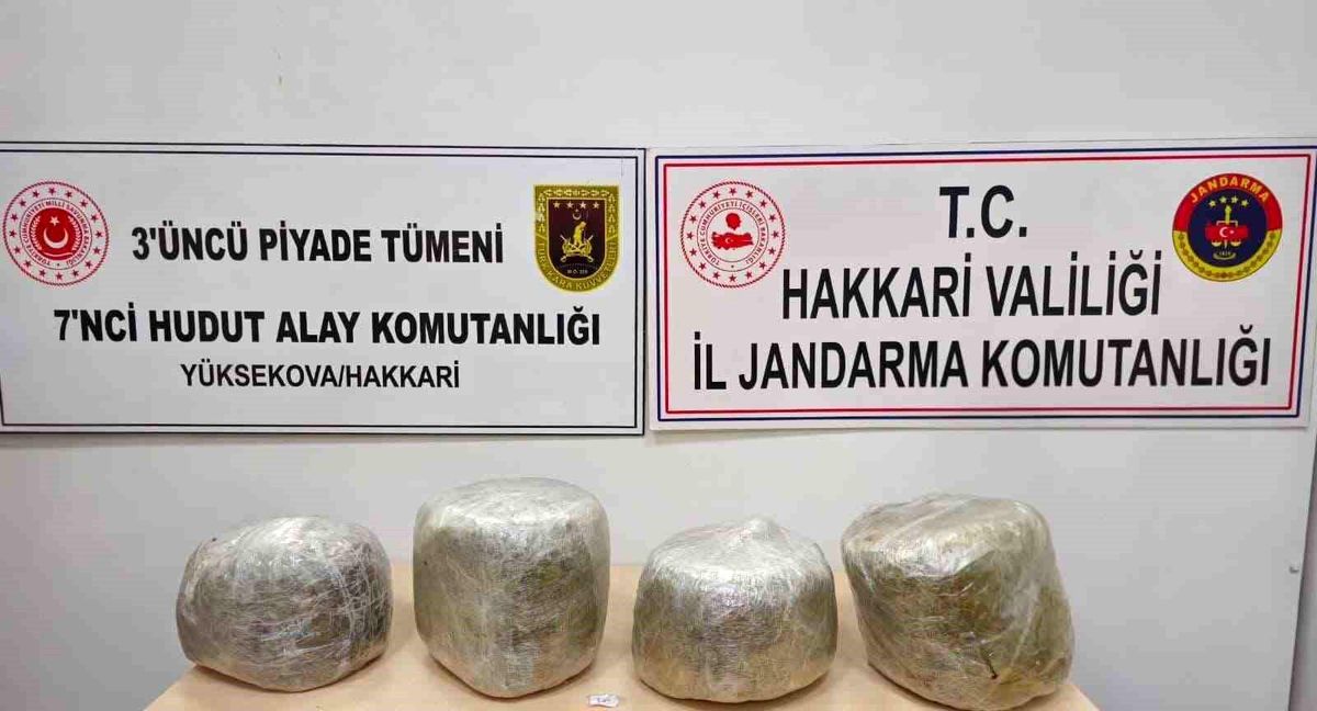 Yüksekova\'da 11 kilo skunk ele geçirildi