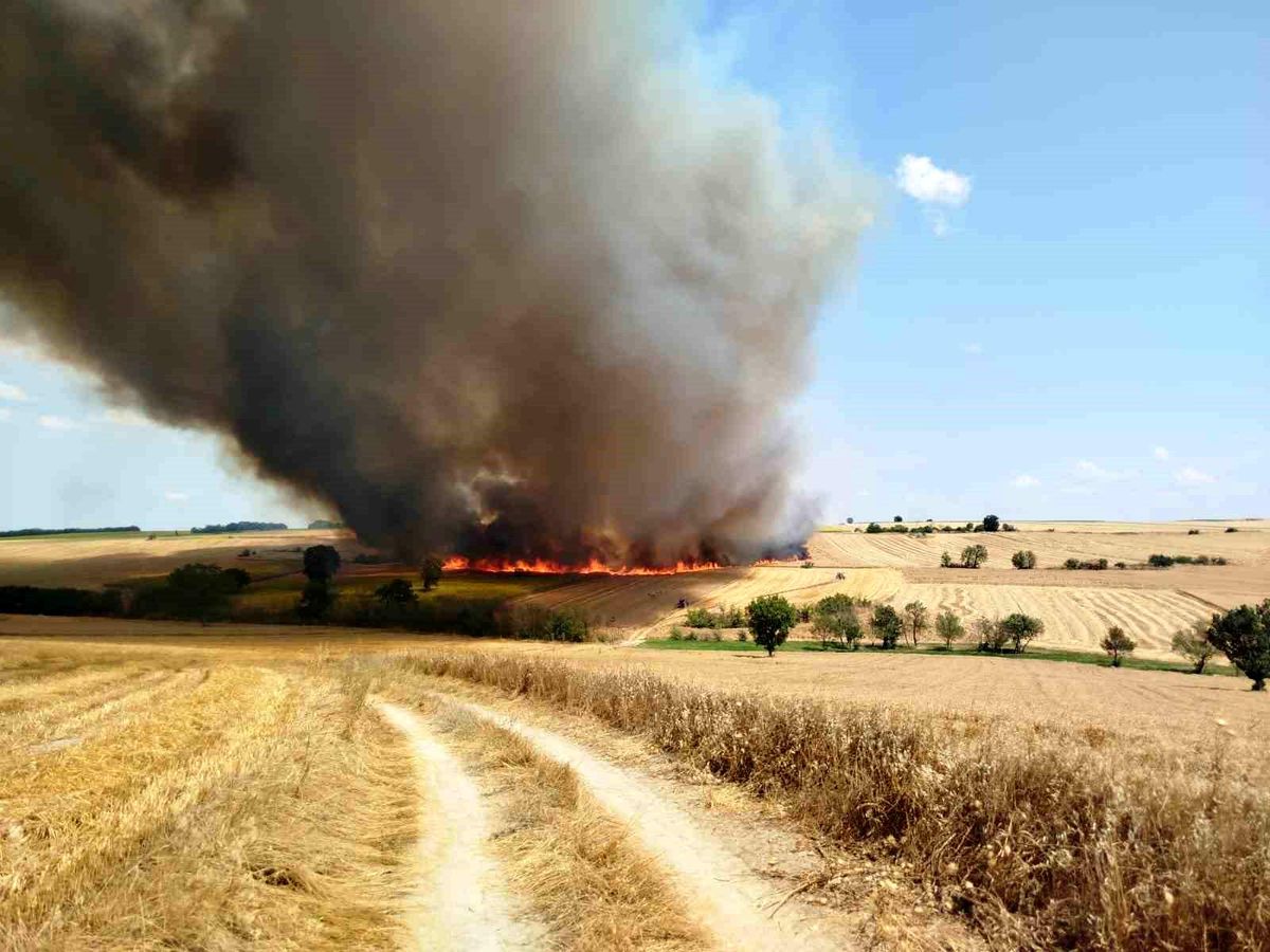 Müsellim Köyünde Yangın: 600 Dönüm Buğday Zarar Gördü