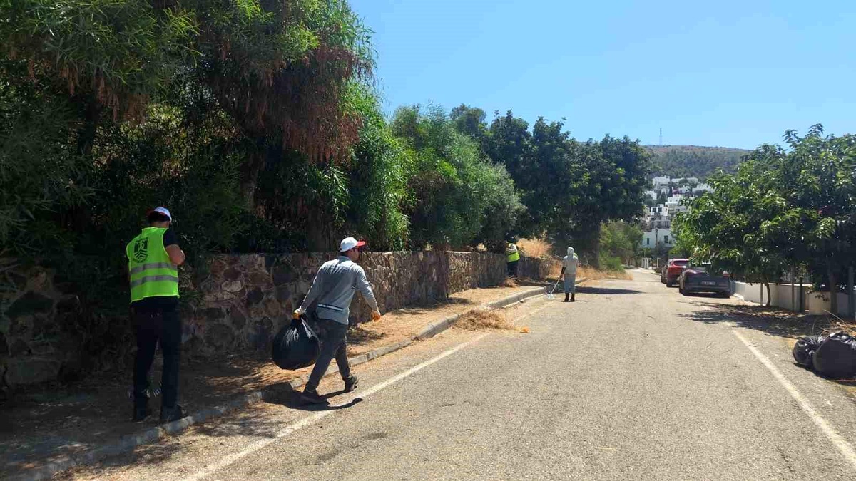 Bodrum\'da ot temizliği çalışmaları Haziran ayı boyunca aralıksız sürdü