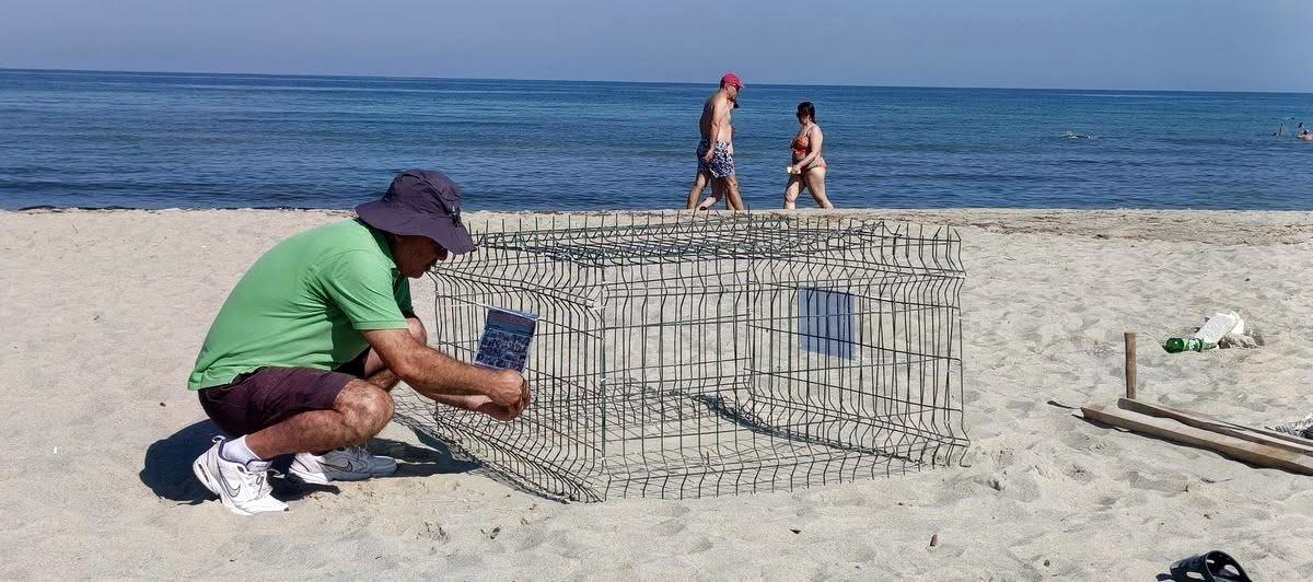 Kuşadası\'nda Caretta Caretta Yuva Tespiti
