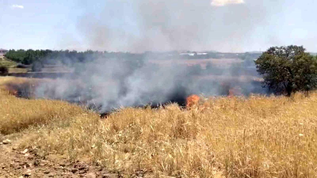 Elazığ\'da Arazi Yangını Kontrol Altına Alındı
