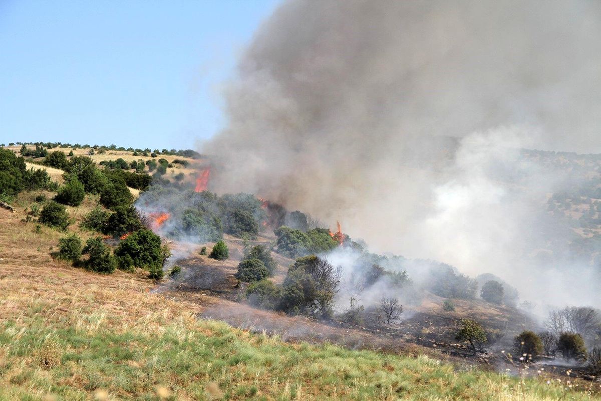 Manisa\'da Yangın Riskini Azaltma Planı Başarıyla Uygulanıyor