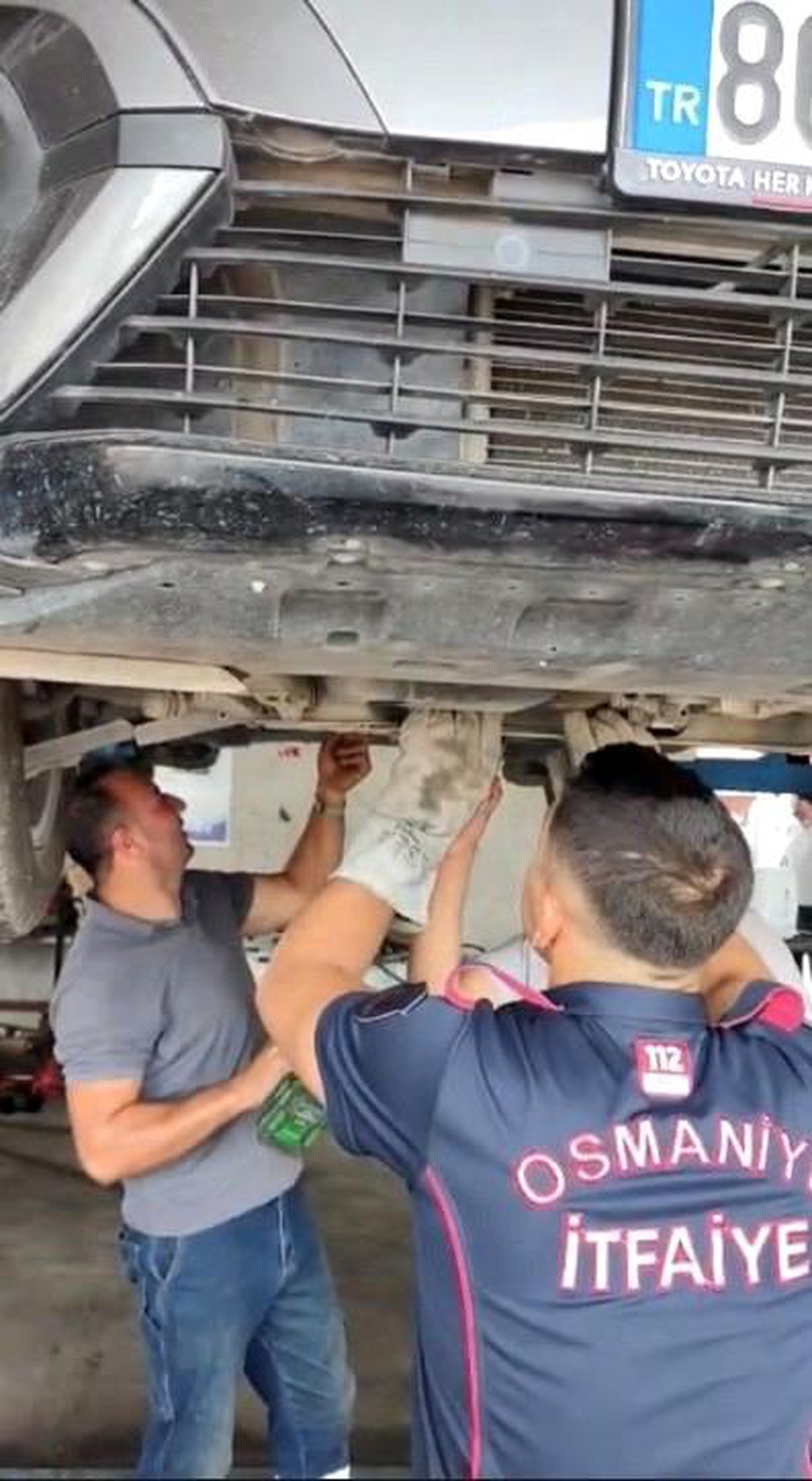 Osmaniye\'de otomobilin motoruna sıkışan yavru kedi kurtarıldı