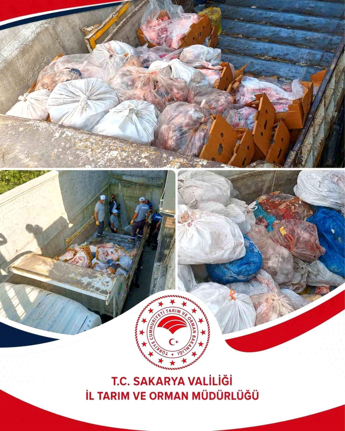 Hendek\'te Et Ruhu Denetimi: 5.5 Ton Et Ele Geçirildi
