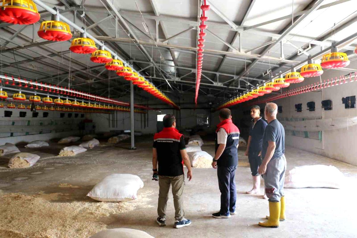 Erzincan\'da Broiler İşletmesi İncelendi