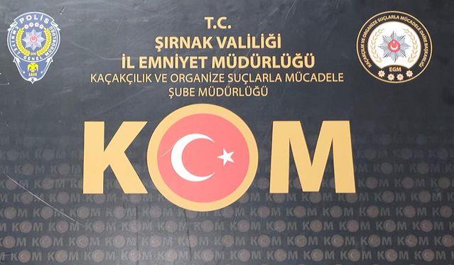 Cizre’de 13,2 milyon liralık altın ele geçirildi