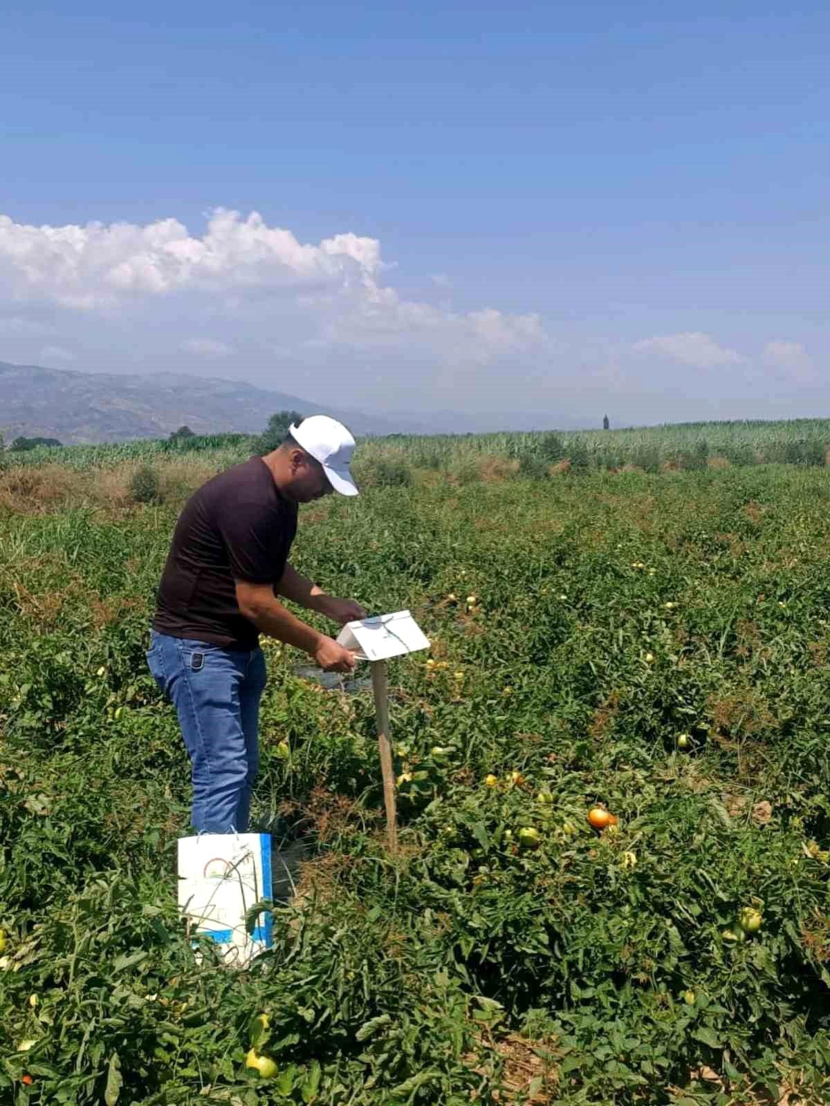 Köşk\'te Tarım Kontrolleri Yapıldı