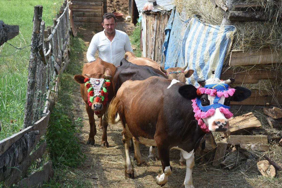 Yayla Göçü Heyecanı