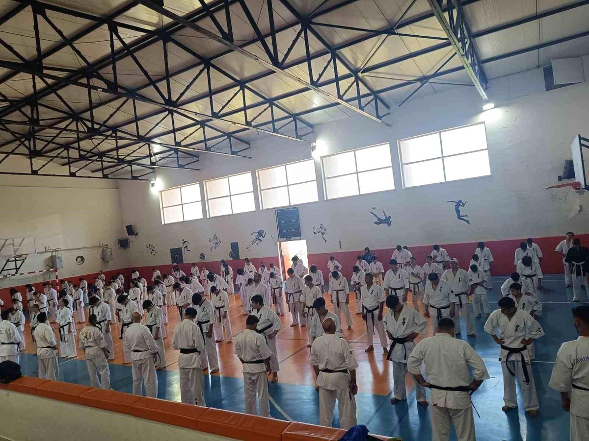Kütahya Pazarlar\'da 200 sporcu Kyokushin-Kan Türkiye Yaz Gelişim Kampı\'nda buluştu