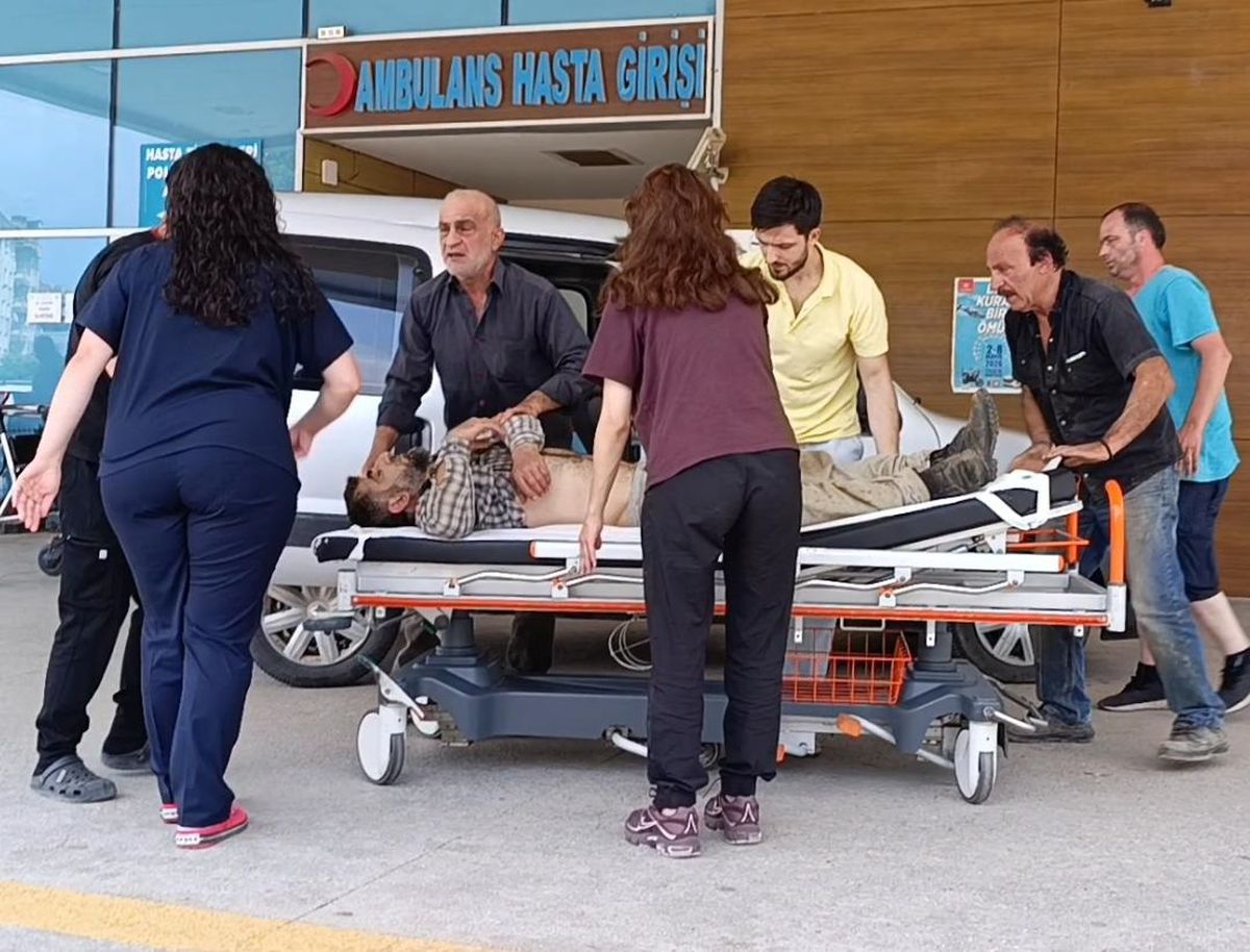 Mantar Toplarken Düşerek Yaralandı