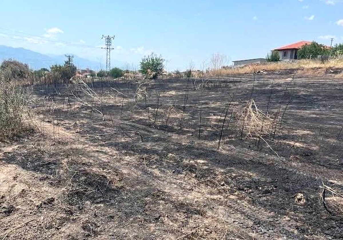 Otluk alanda çıkan yangın büyümeden söndürüldü
