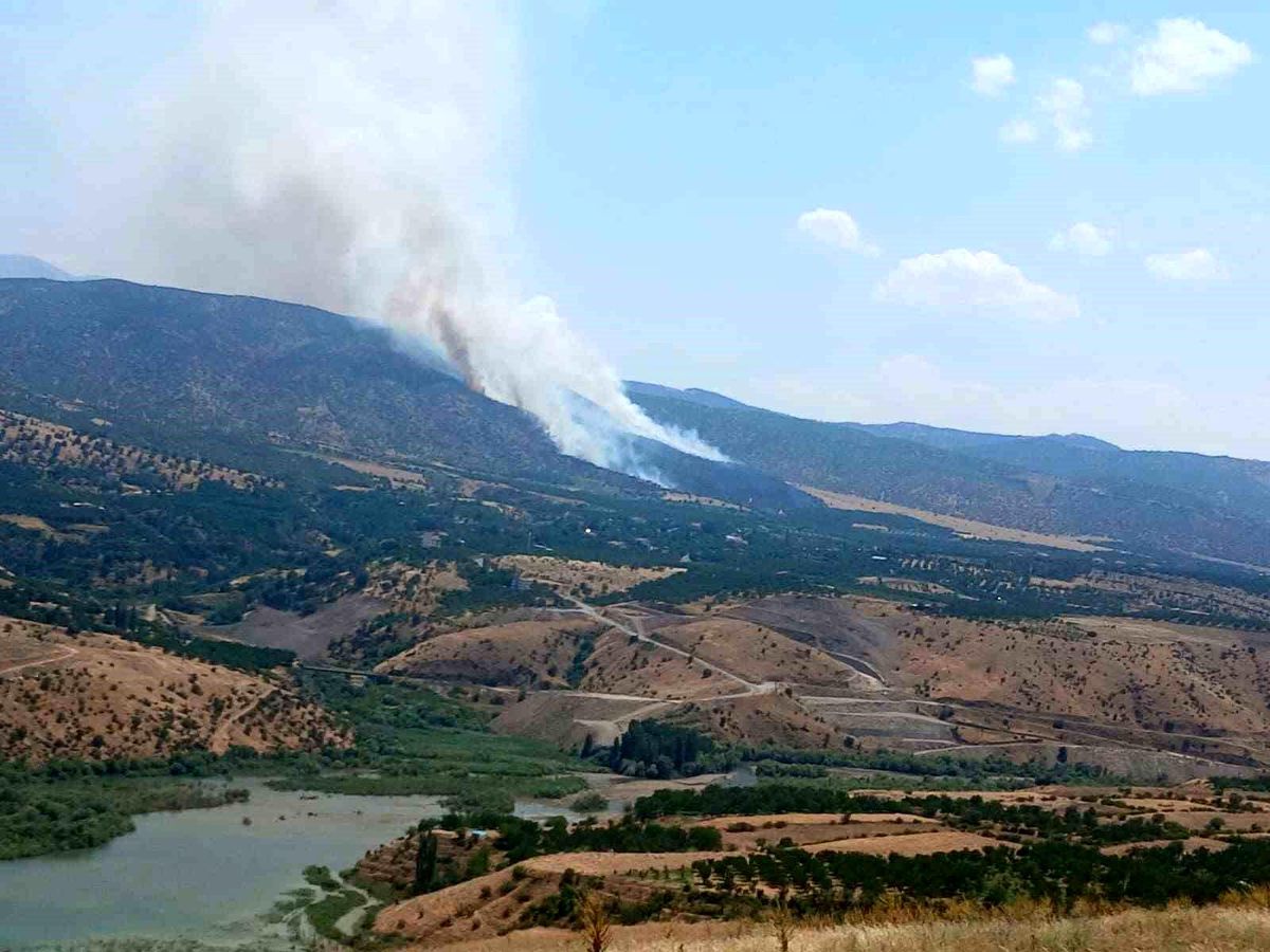 Malatya Pütürge\'de Orman Yangını