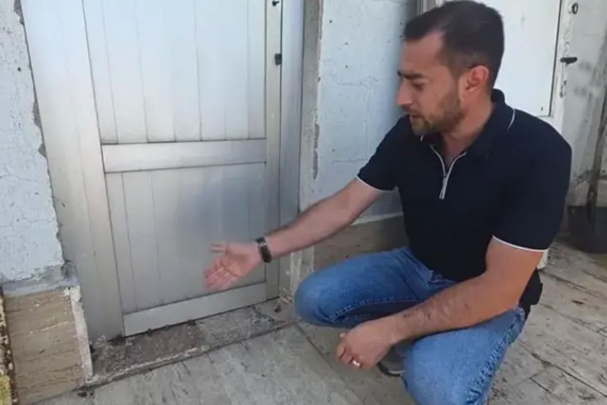 Sağanak yağış sonrası ortaya çıktılar: Hikmet mi, başka bir şey mi bilemedik