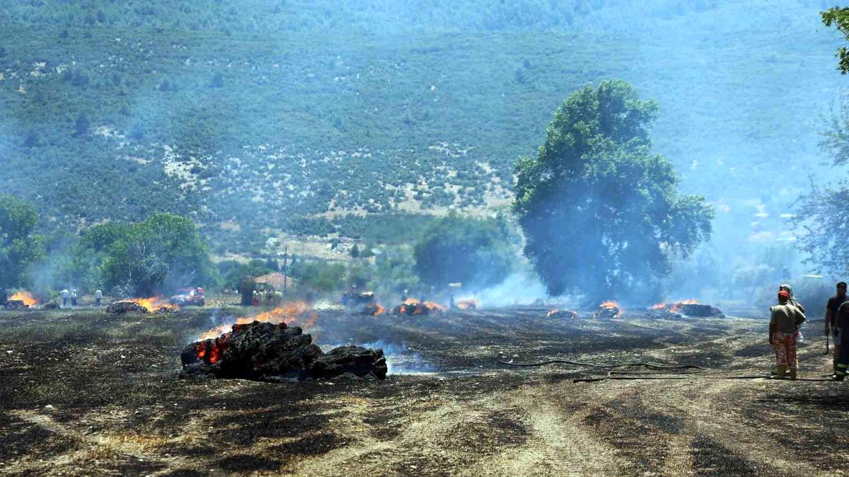 Tonlarca saman balyası yandı