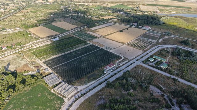 Niğde üniversitesi atık suyu ağaçlandırmada kullanıyor