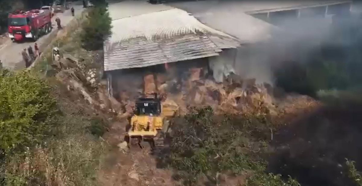 Balıkesir\'de Orman Yangınları Kontrol Altına Alınıyor