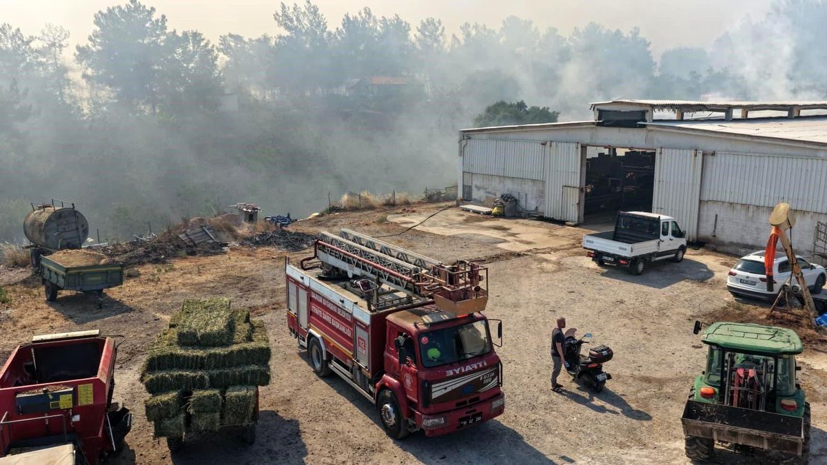 Balıkesir\'de üç ayrı noktada yangın