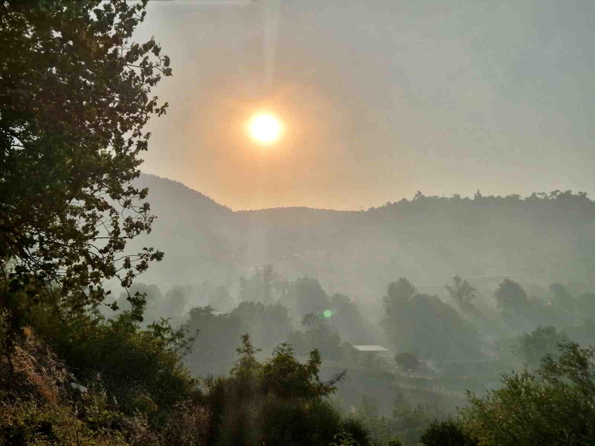 Balıkesir\'de Orman Yangınına Müdahale Sürüyor