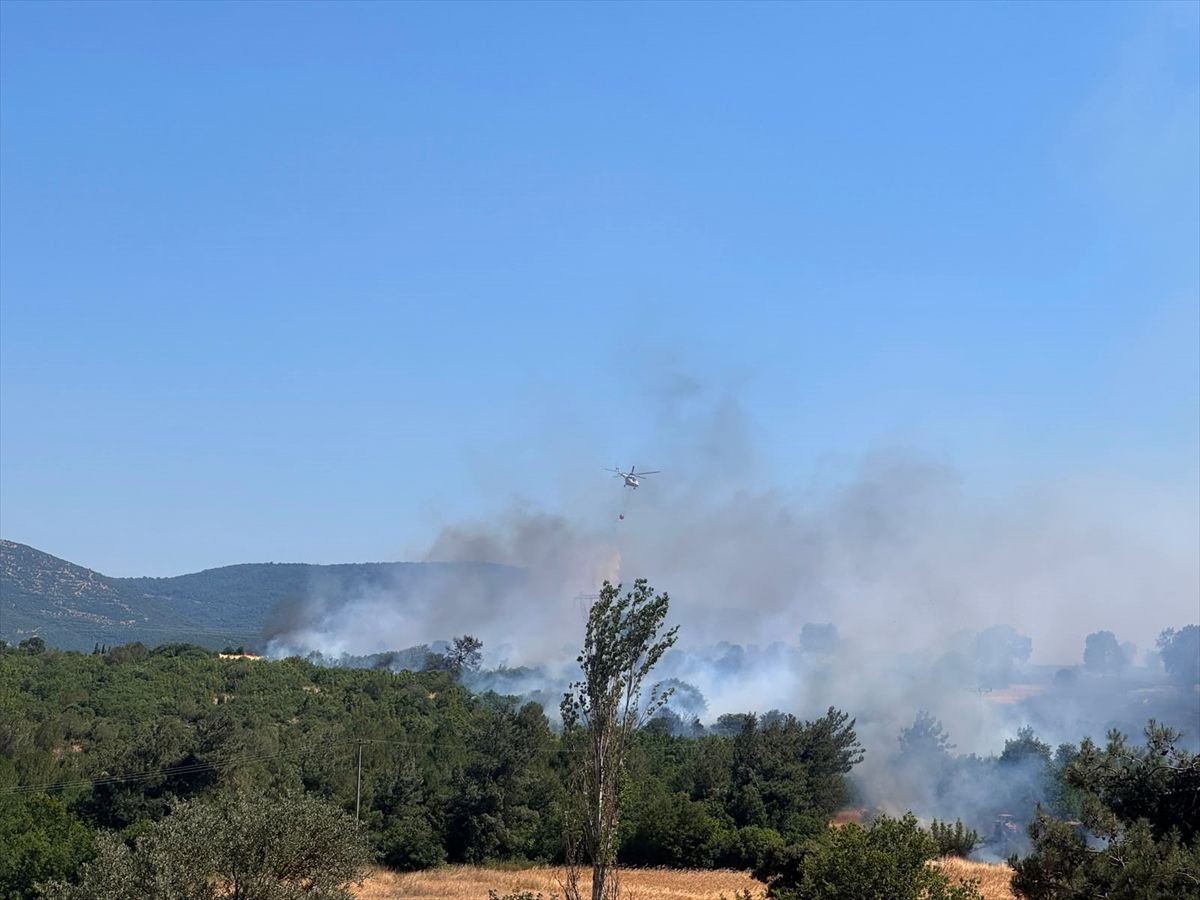 Balıkesir\'de Orman Yangını
