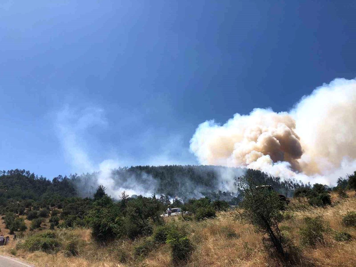 Balıkesir\'de Orman Yangını