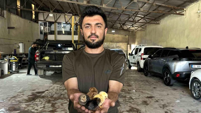 Girişimci Sedat Çelik’ten Kuluçka Başarısı