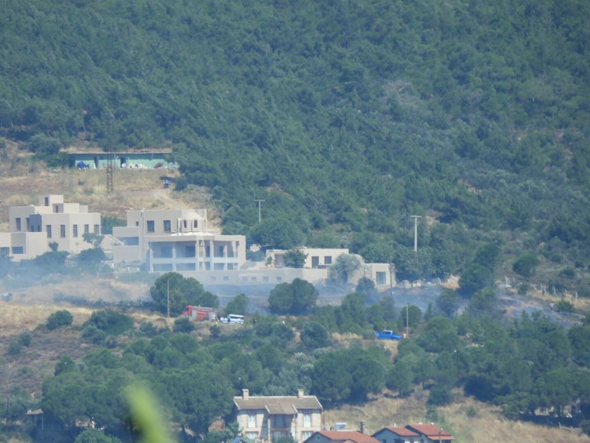 Cunda Adası\'nda Orman Yangını