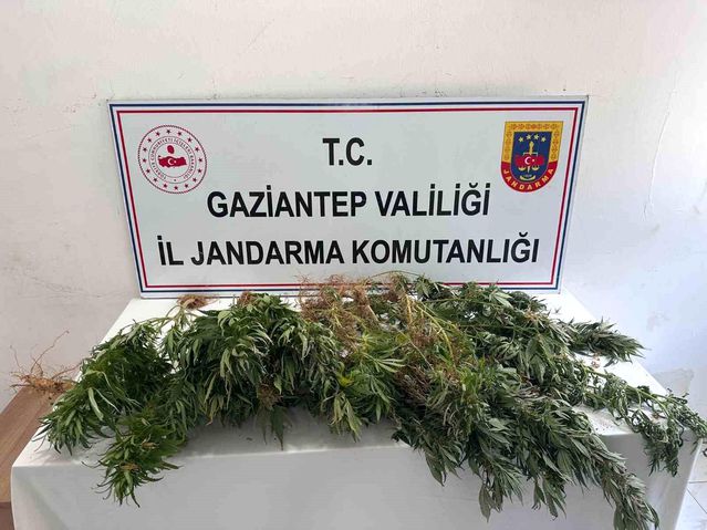 Gaziantep’te Uyuşturucu Operasyonu